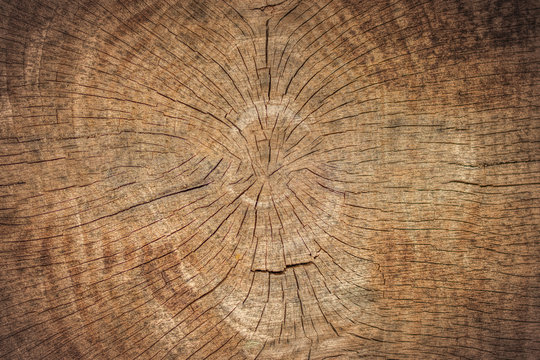 Old Wood Texture