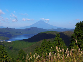 Fototapeta premium Mt.Fuji from Mt.Taikanzan