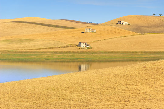 RURAL LANDSCAPE SUMMER.Between Apulia and Basilicata: Lake Basentello.Poggiorsini (ITALY)