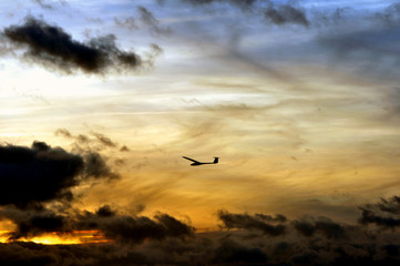 Flugakrobat am Abendhimmel