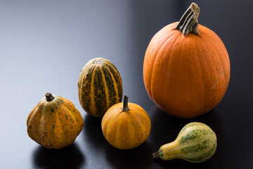 variety of decorative pumpkins