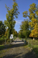 Vers le pont en bois sous la nature automnale au parc du château de Seneffe en Hainaut 
