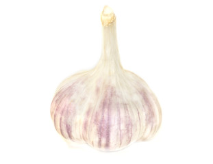 fresh, real garlic. isolated on white background
