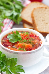 Traditional Russian Ukrainian vegetable borscht soup