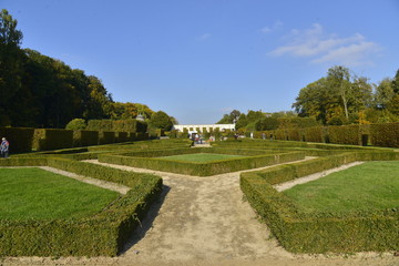 Fototapeta na wymiar Haies du jardin à l'anglaise du château de Seneffe en Hainaut