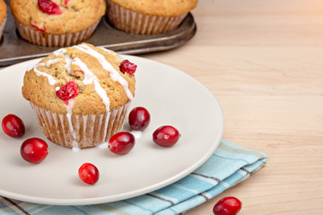 Cranberry Muffin