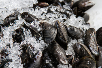 Mussels are black ice on the market in France