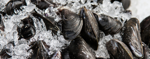 Mussels are black ice on the market in France