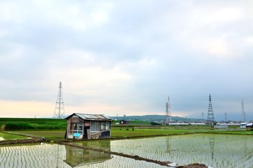 田園風景