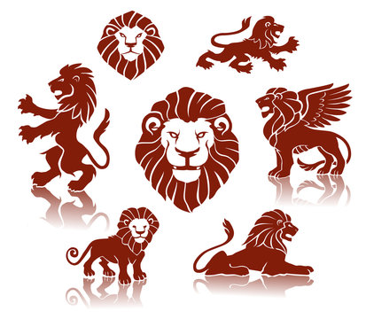 Lions illustration set