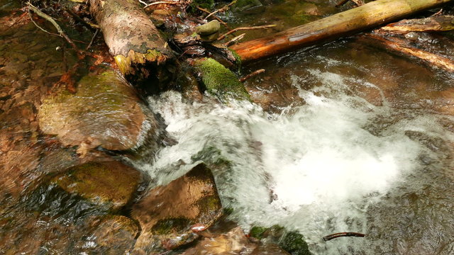 
Stream  in mountain wood , top view  in 4K 3840x2160. Panorama
