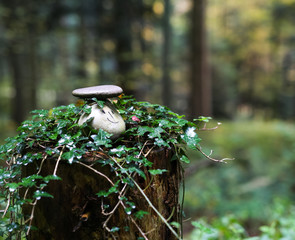 Ein Stein auf dem anderen