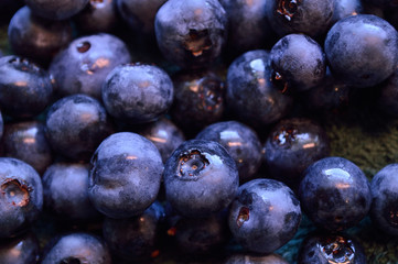 Fresh blueberry background