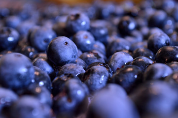Blueberry closeup background