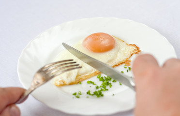fried egg on a plate