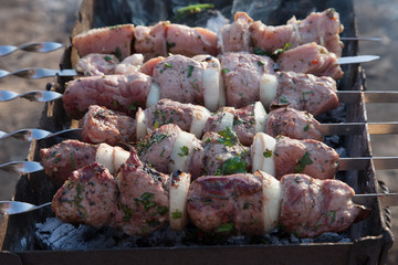 Shish kebab on the grill