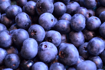 Plump ripe organic blueberry background