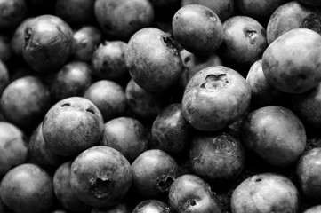 Black and white of lots of blueberries