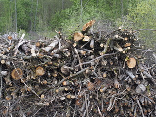 Holzstapel