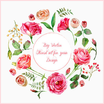 Vector set of different red, pink flowers for design. Watercolor roses, leaves. Set of floral elements to create compositions. 