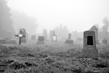 fogy dark graveyard with tombstone