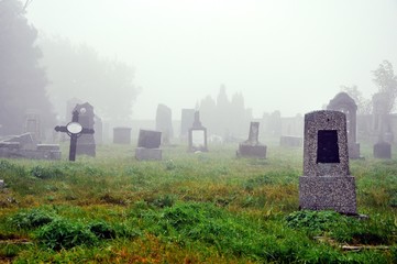 fogy dark graveyard with tombstone