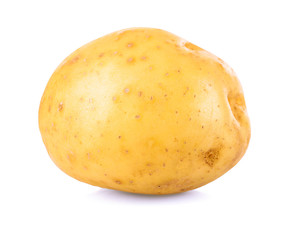 Young potato isolated on white