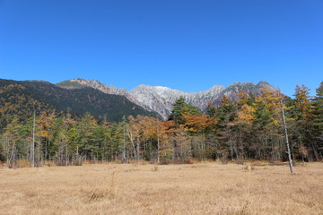 田代湿原からの穂高連峰