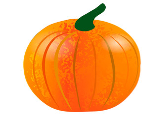 Vector illustration. Pumpkin on a white background.