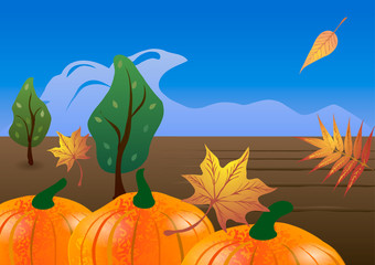 Vector illustration. Pumpkin patch in the fall.