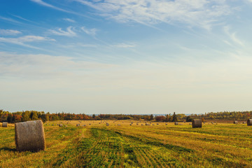 Scenic view of hay stacks at fall