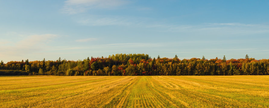 Panorama of PEI rural scene at fall