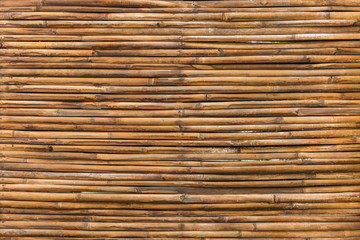 bamboo wood of fence wall background