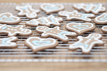 Fototapeta na wymiar Gingerbread cookies - selective focus