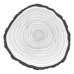 Tree rings background.