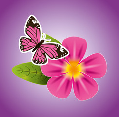 welcome spring design