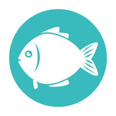 Obraz premium Fish icon graphic design