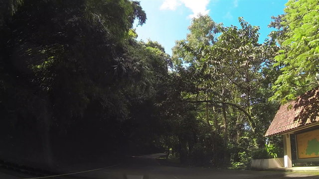 Drive POV El Yunque Rainforest National Park HD 0232