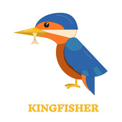 Kingfhisher Bird Icon