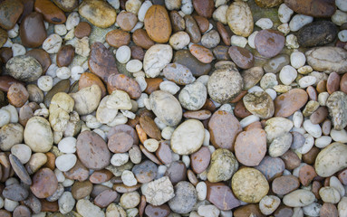 pebble stone