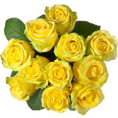 bouquet of yellow roses on a white background