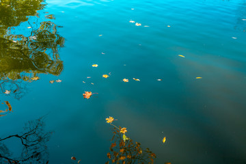 Fototapeta na wymiar autumn water