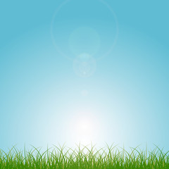 Obraz premium Green grass and blue sunny sky