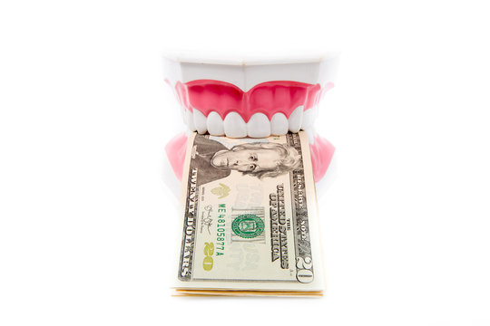 A tooth model with dollar notes isolated on white background