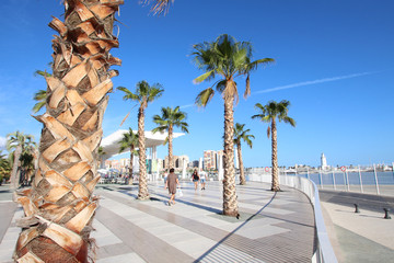 Malaga / Palmeral de las Sorpresas - Espagne (Andalousie)