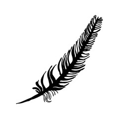 hand draw bird feather style sketch for registration cards