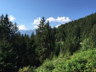 Sommer in den Bergen