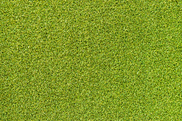 Artificial grass field textur