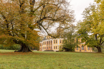 Weimar - Landschaftspark Belvedere