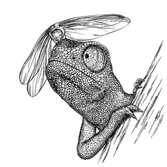 engrave chameleon illustration © doublebubble_rus